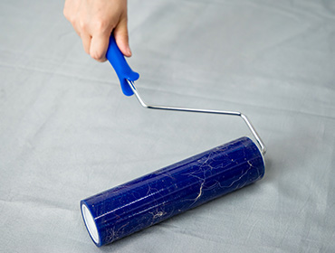S03 Fast Dust Removal 1